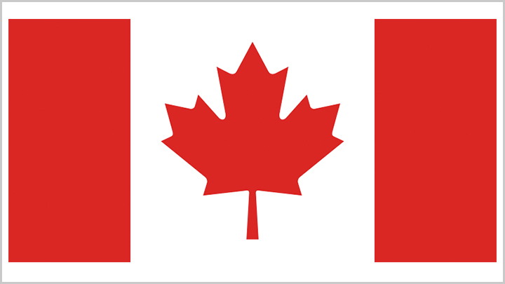 加拿大進(jìn)口