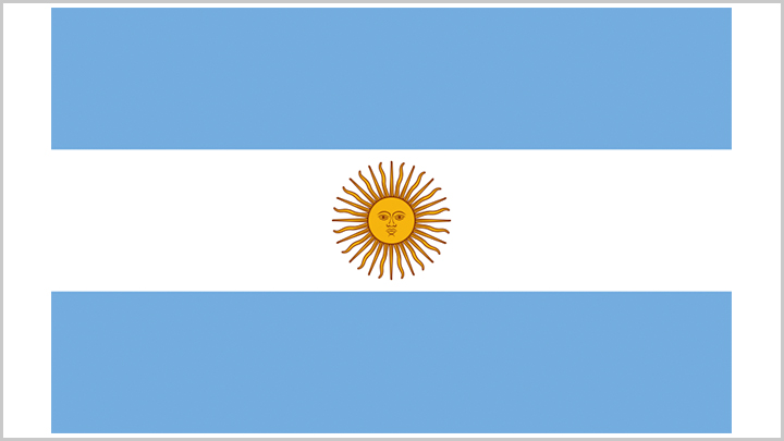 阿根廷進(jìn)口